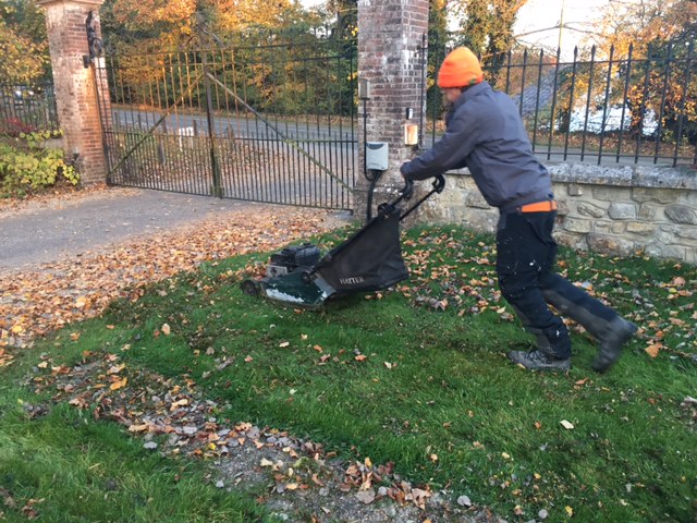 Maintenance Commerical Garden Haywards Heath