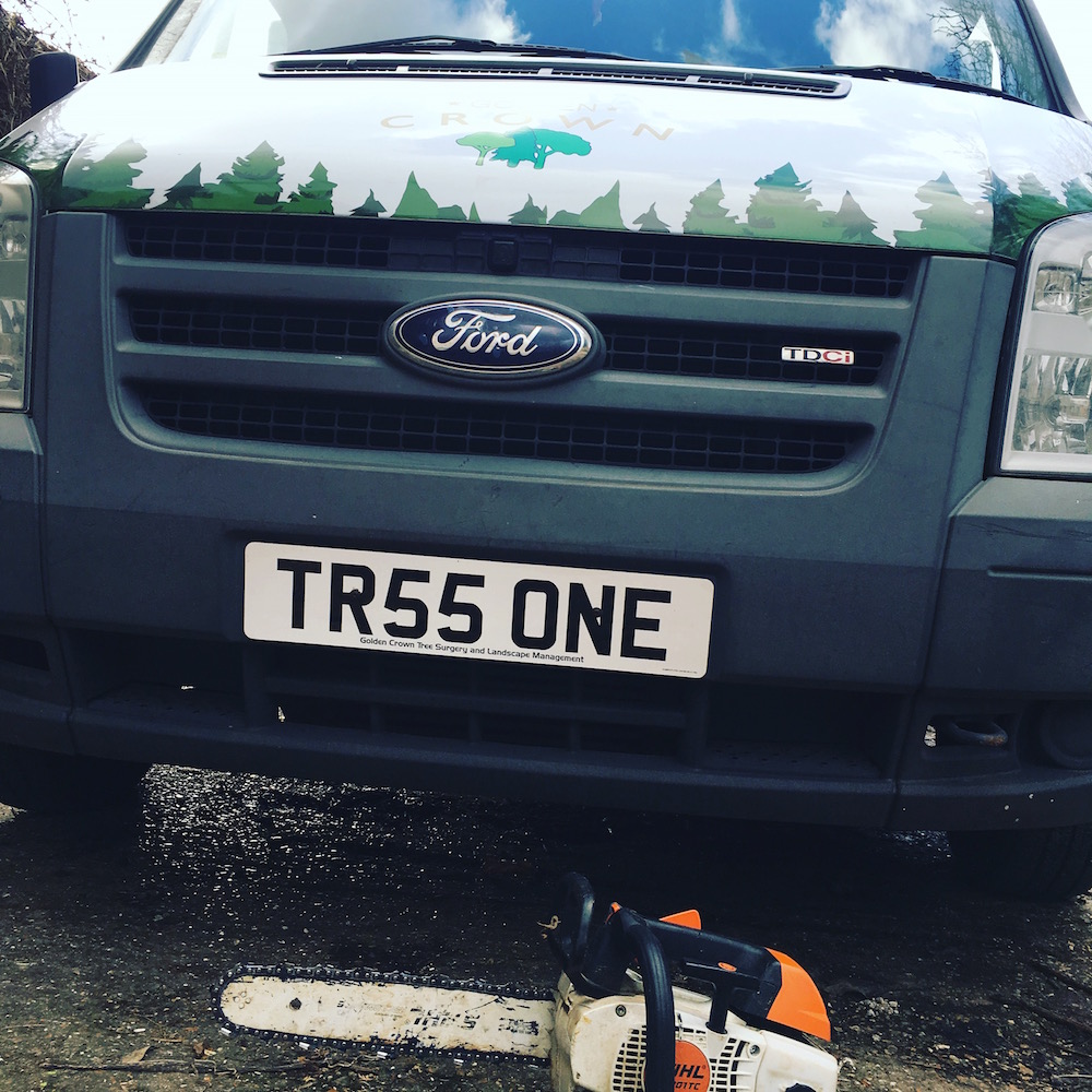 Tree Surgeons Haywards Heath