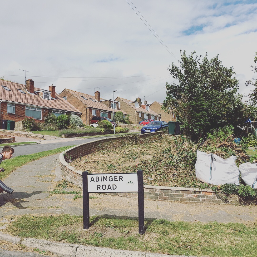 Tree Surgeon Site Clearance