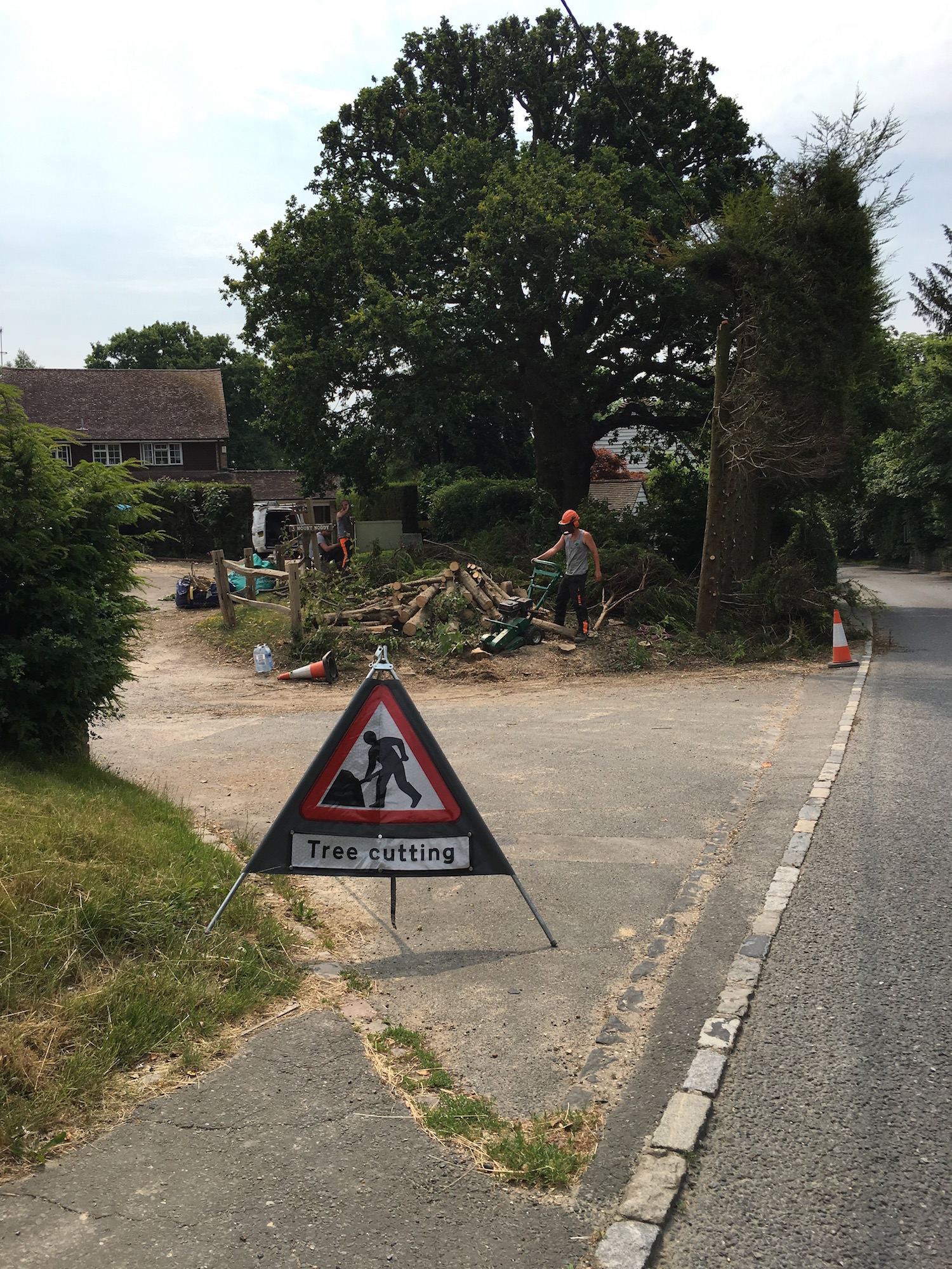 Tree Surgeon Haywards Heath